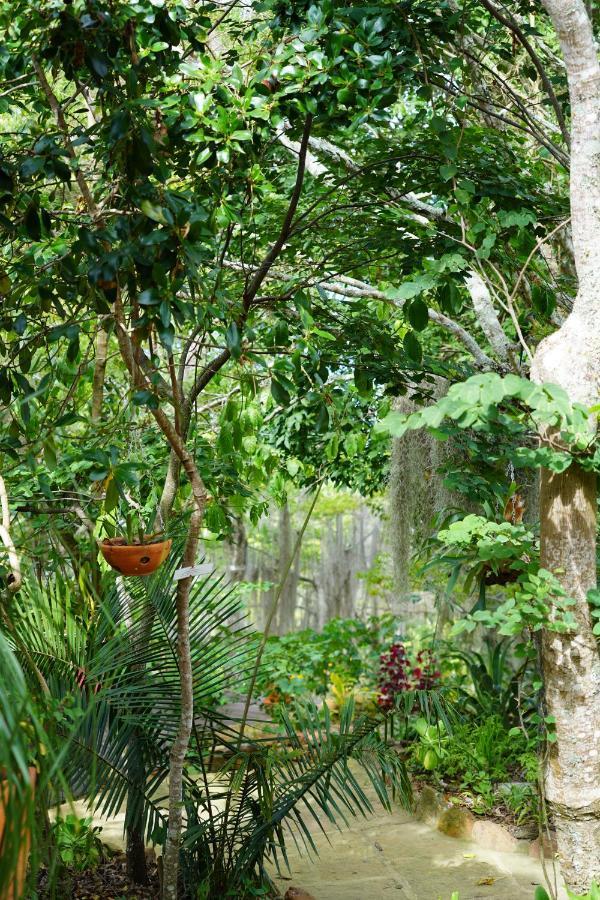 El Paraiso Posada Finca San Vicente Barichara Eksteriør billede